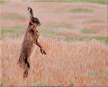 Standing Hare 8x10