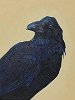 Nevermore! 16x12in