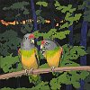 Parrots, Spring Maples 12x12in