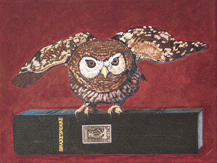 Barred Owl 9x12