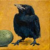 Baby Crow 10x10in SOLD