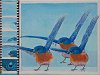 Bluebird Choreography 9x12