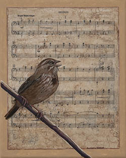 Song Sparrow 10x8