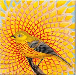 Camouflage Series Yellow Warbler 6x6
